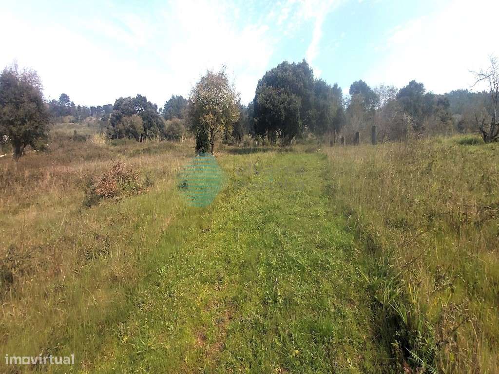 Terreno excelente localização, em Roliça - Grande imagem: 5/8