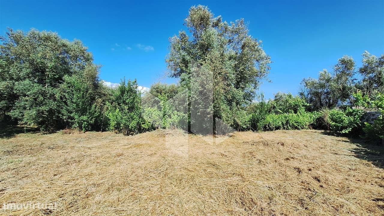 Terreno Para Construção  Venda em Molelos,Tondela - Grande imagem: 5/10