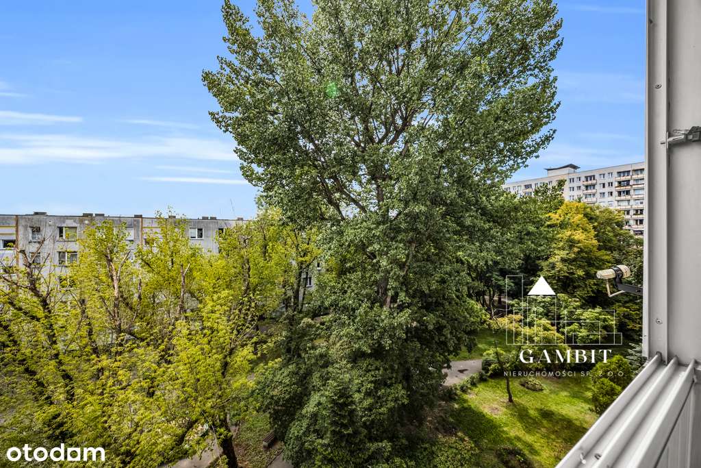 2 pok. Metro, oddzielna kuchnia, balkon z widokiem-11