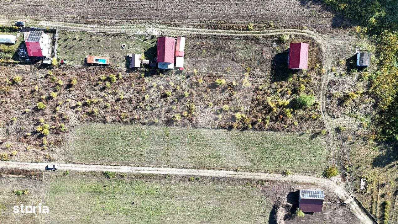 Refugiu la marginea padurii — 1000 mp de liniste in Cocani. - Imagine principală: 4/11