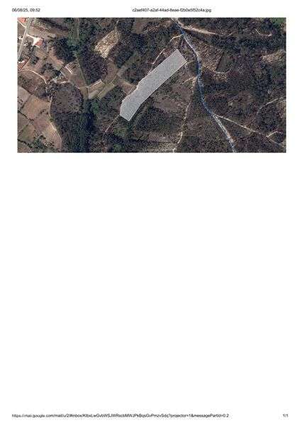 Terreno florestal - Grande imagem: 3/3