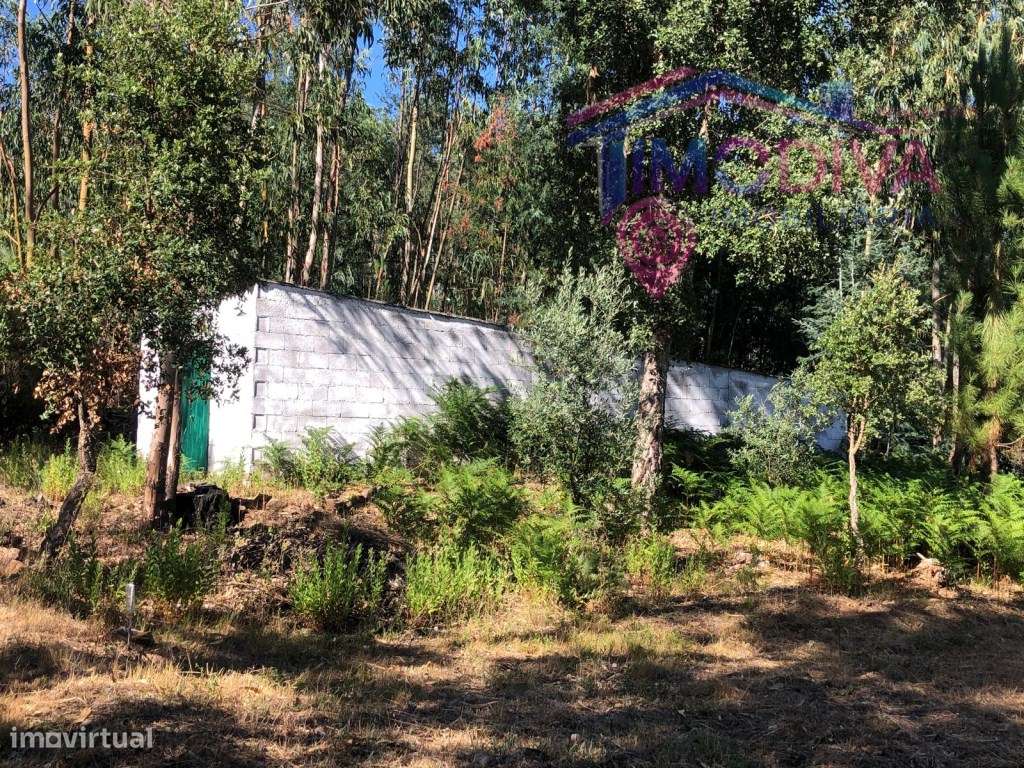 Arrecadação e terreno em Castanheira de Pera-15