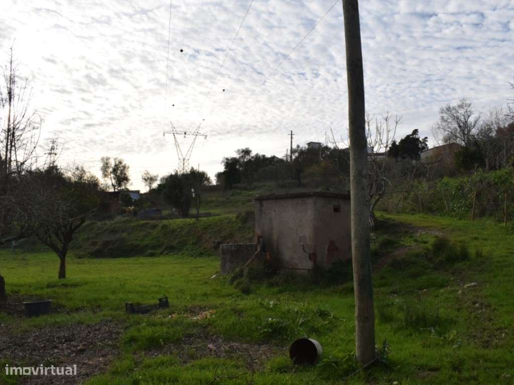 Quinta entre Antanhol e Cernache-7