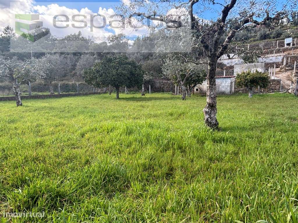Quintinha-25