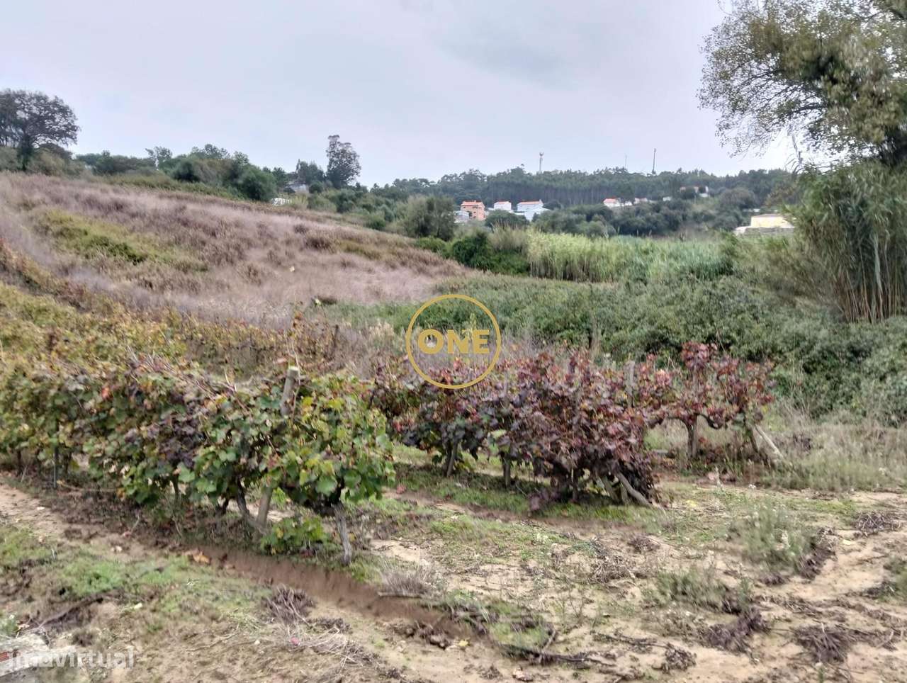 Terreno Rústico com 3312 m2 - Sobral da Abelheira e Azueira-5