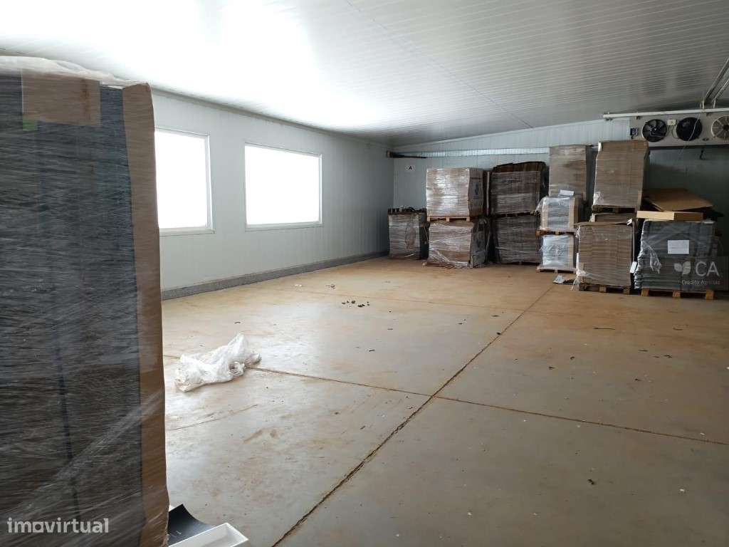 PAVILHÃO INDUSTRIAL/ARMAZÉM COM LOGRADOURO-3