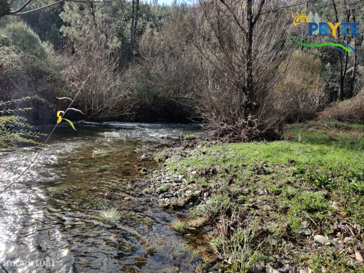 Ruína a confinar com Ribeira-22