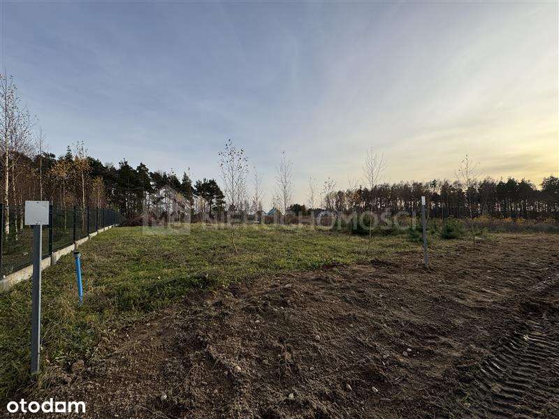 Działka przy lesie 3635 m2 - Lipinki Królewskie - Pełny obrazek: 4/6