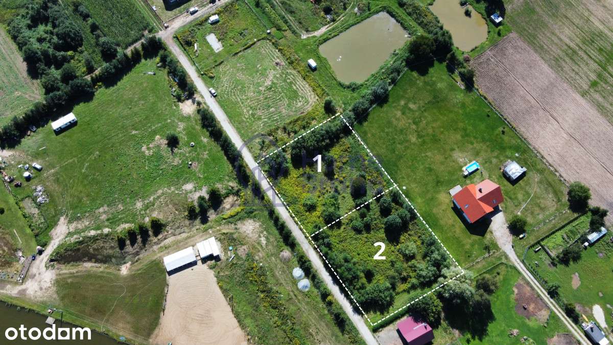 15 minut od Trzebnicy| 2 działki| Okazja - Pełny obrazek: 5/5
