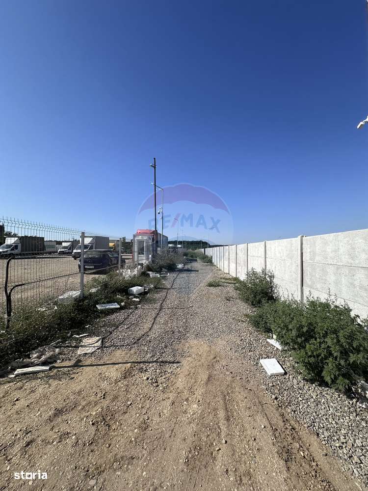 Vânzare Teren Industrial – Ștefăneștii de Jos (22.800 mp) - Imagine principală: 3/6