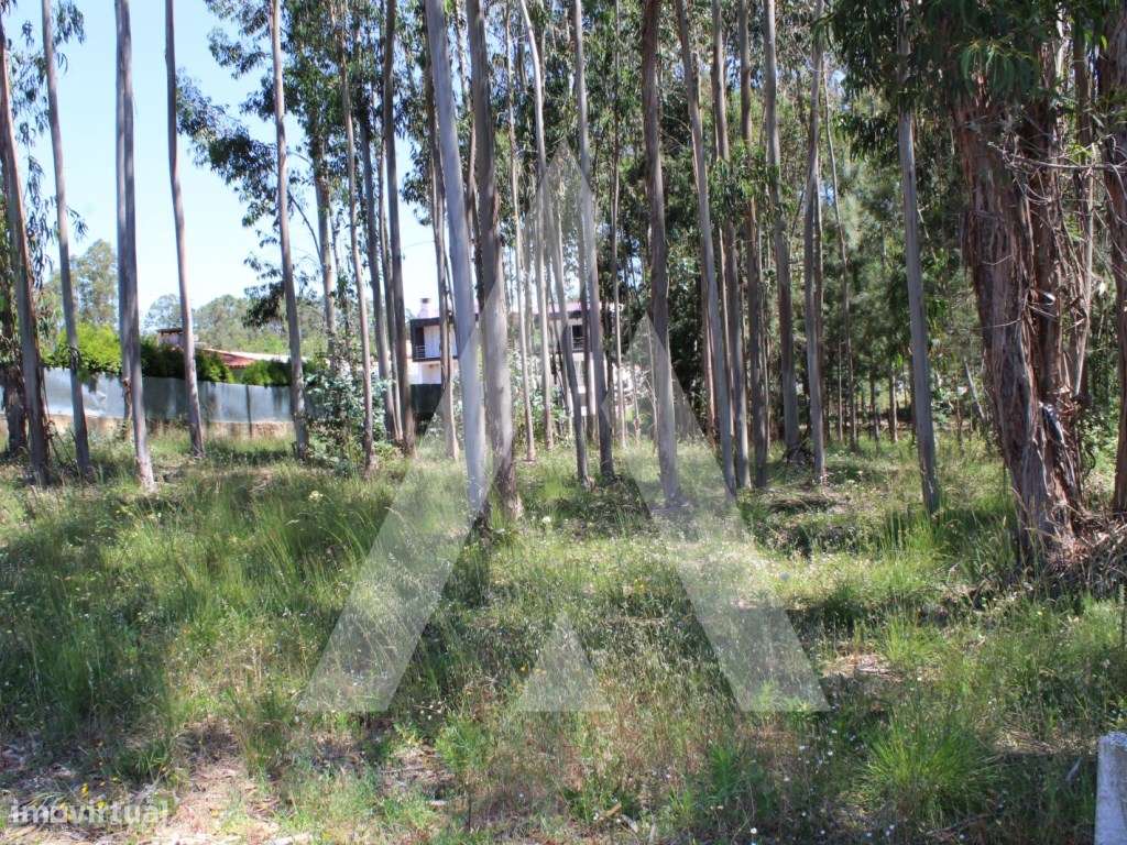 Terreno na Macida para Construção-5