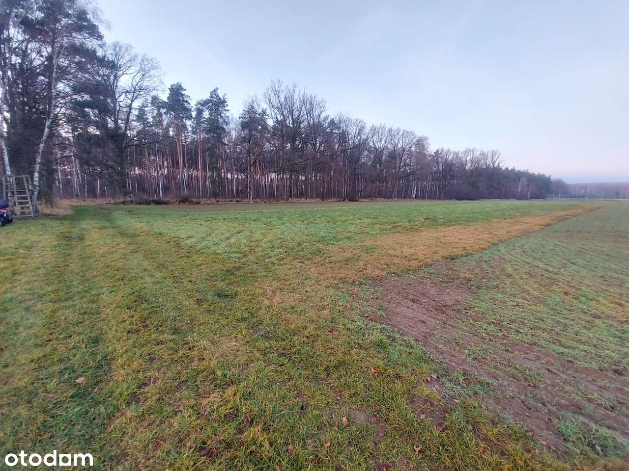 Działka 20ar pod magazyn - S11-Ciarka  – projekt i kierownik w cenie! - Pełny obrazek: 4/4