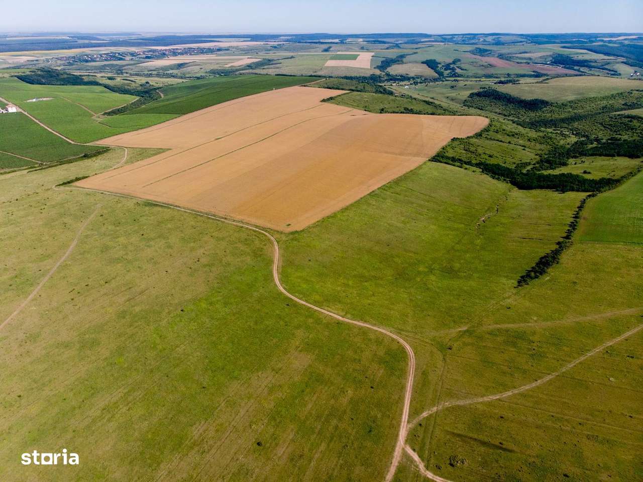 Teren arabil de 1771 hectare în Dolj - Imagine principală: 4/4