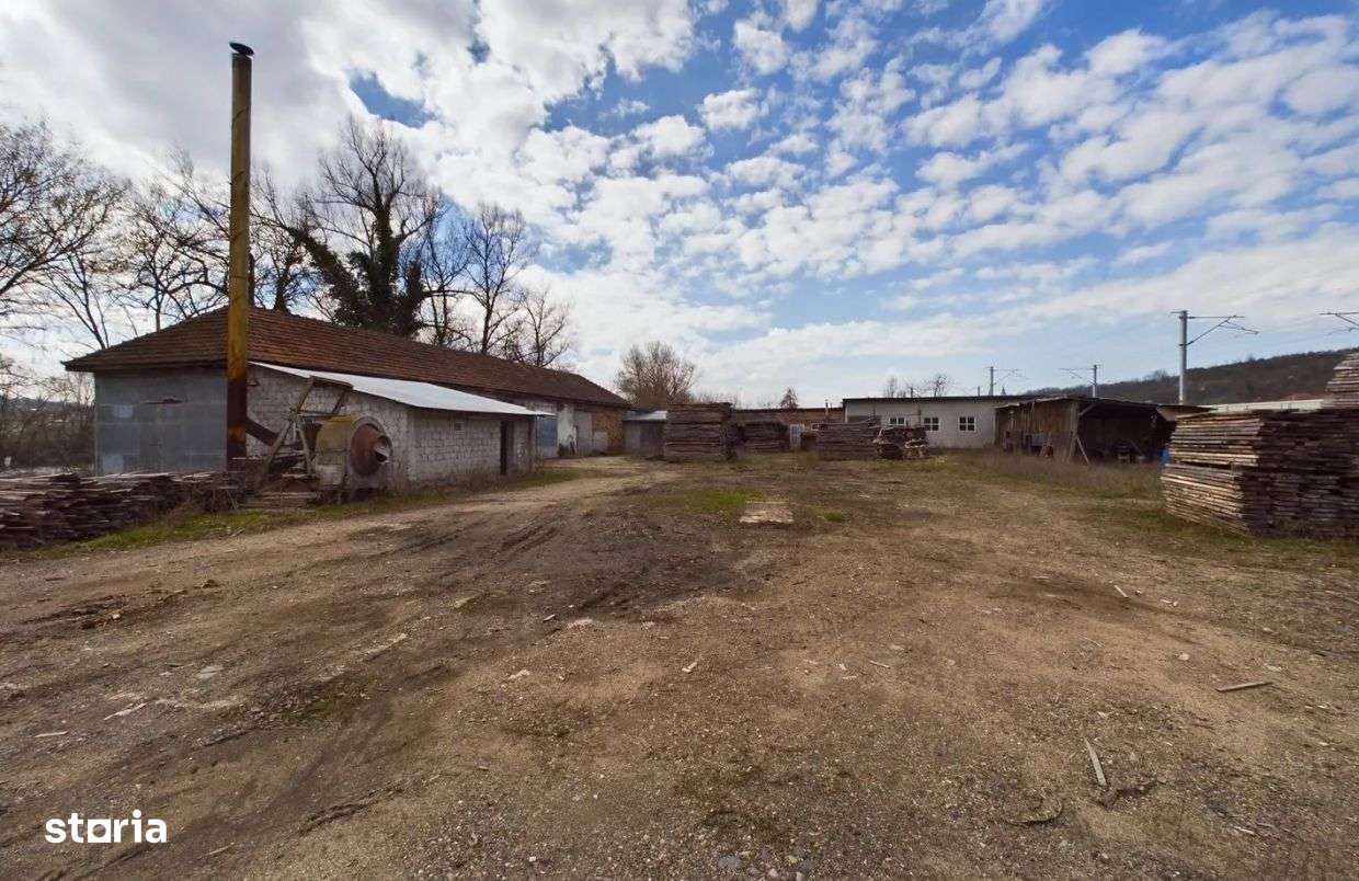 Fabrica prelucrare lemn de vanzare – Lipova, Arad-12