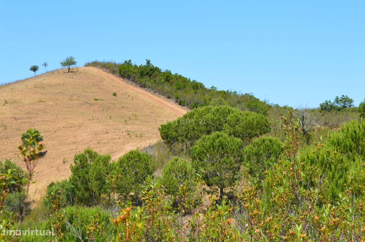 Terrenos Saboia - Odemira - Alentejo - Grande imagem: 5/8