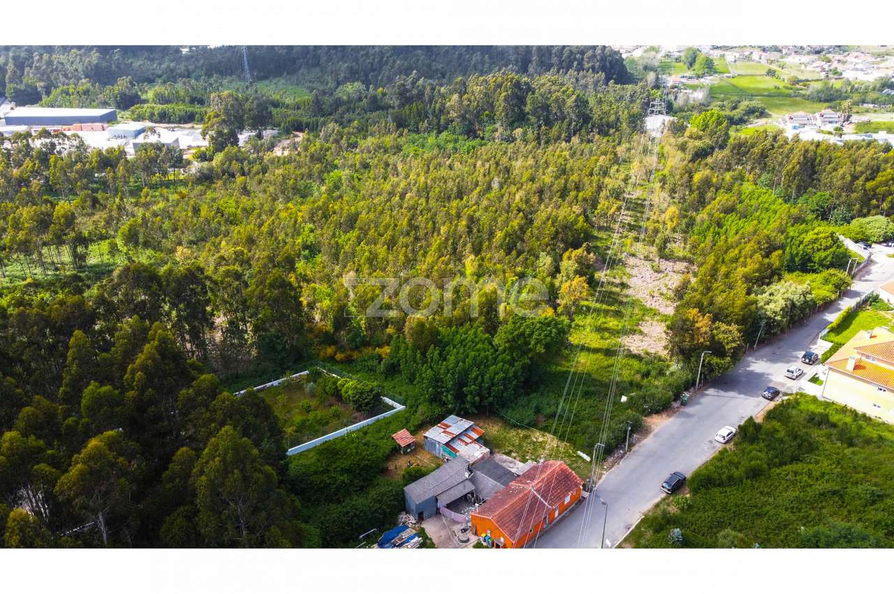 Terreno para construção em Serzedo, junto a São Félix da Marinha - Grande imagem: 4/15