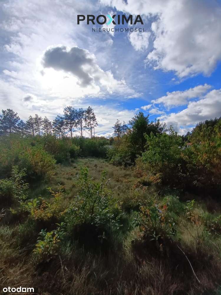 Działka Inwestycyjna – Dąbrówka, Gmina Luzino, Pow-5