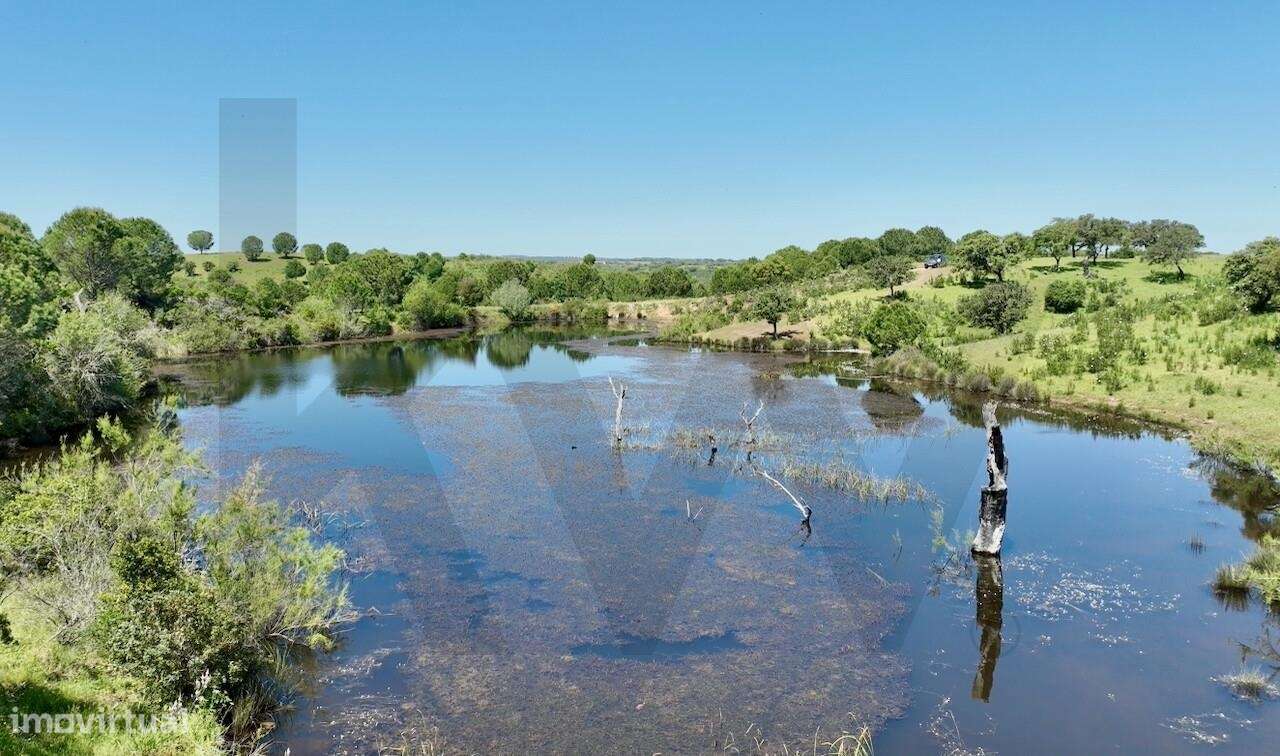 Refúgio Ideal no Alentejo: Investimento único com Potencial Agrícola e - Grande imagem: 4/39