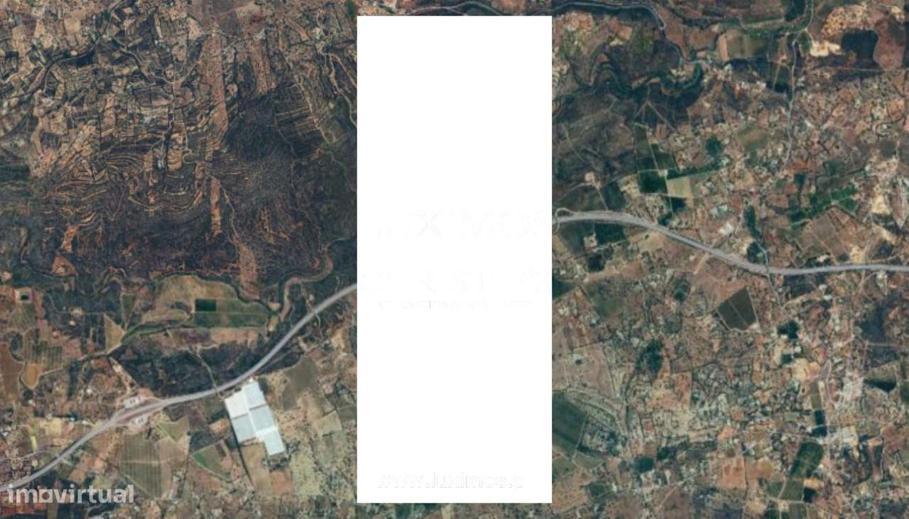 Amplo terreno, para venda em Tavira, Algarve - Grande imagem: 2/3