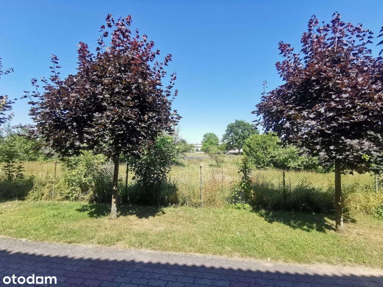 Działki budowlane w centrum (5 szt.)- Lipka-8