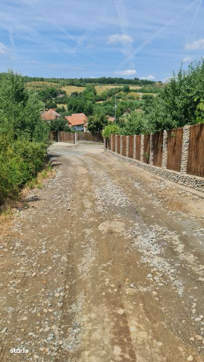 Teren Intravilan 1846 mp Casa | Duplex-5