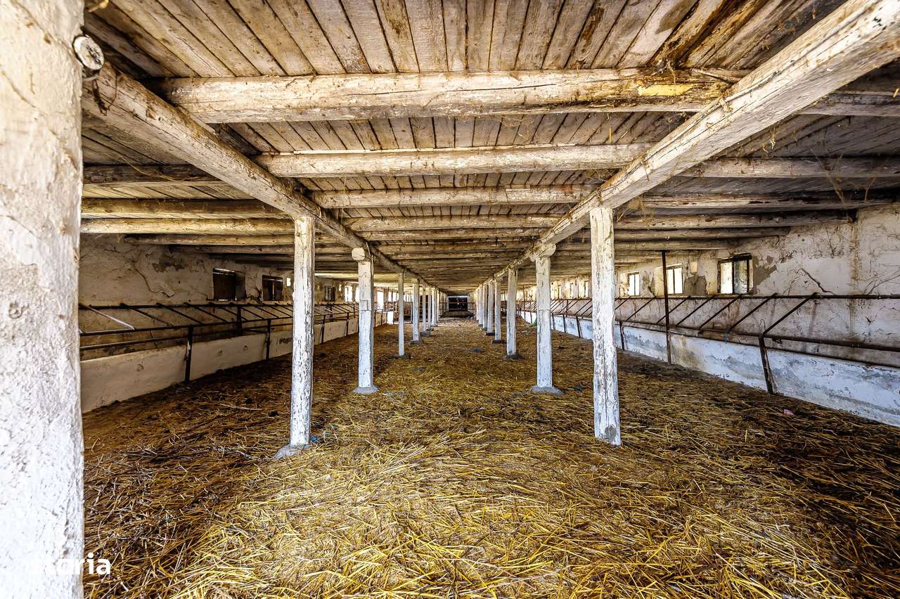 Fermă Mândruloc 2,5 ha - Imagine principală: 4/14