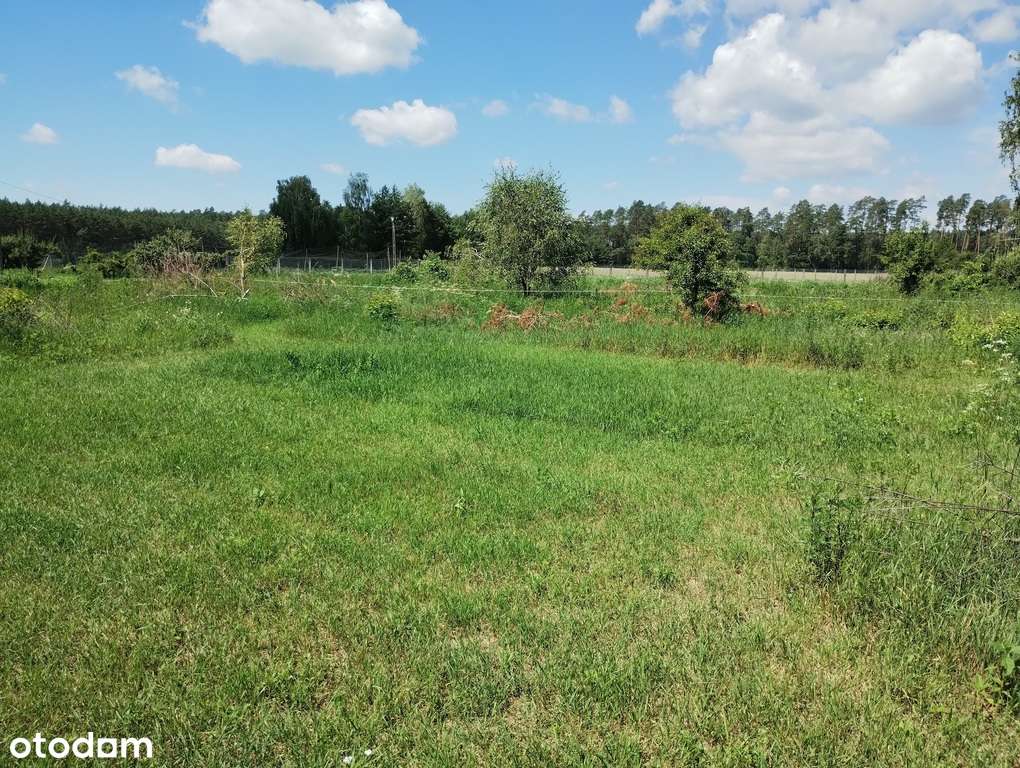 Sprzedam działkę pod budowę 45min od Warszawy-4