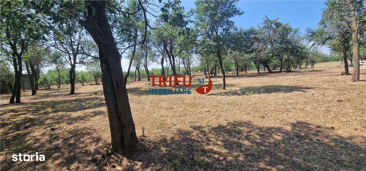 Teren de vanzare zona Paclisa - Imagine principală: 4/12