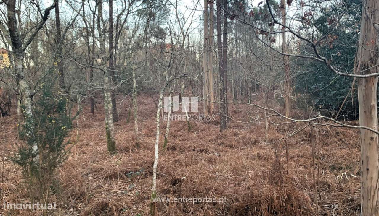Venda de terreno para construção com 1980m², Meixedo, Viana do Cast - Grande imagem: 2/30