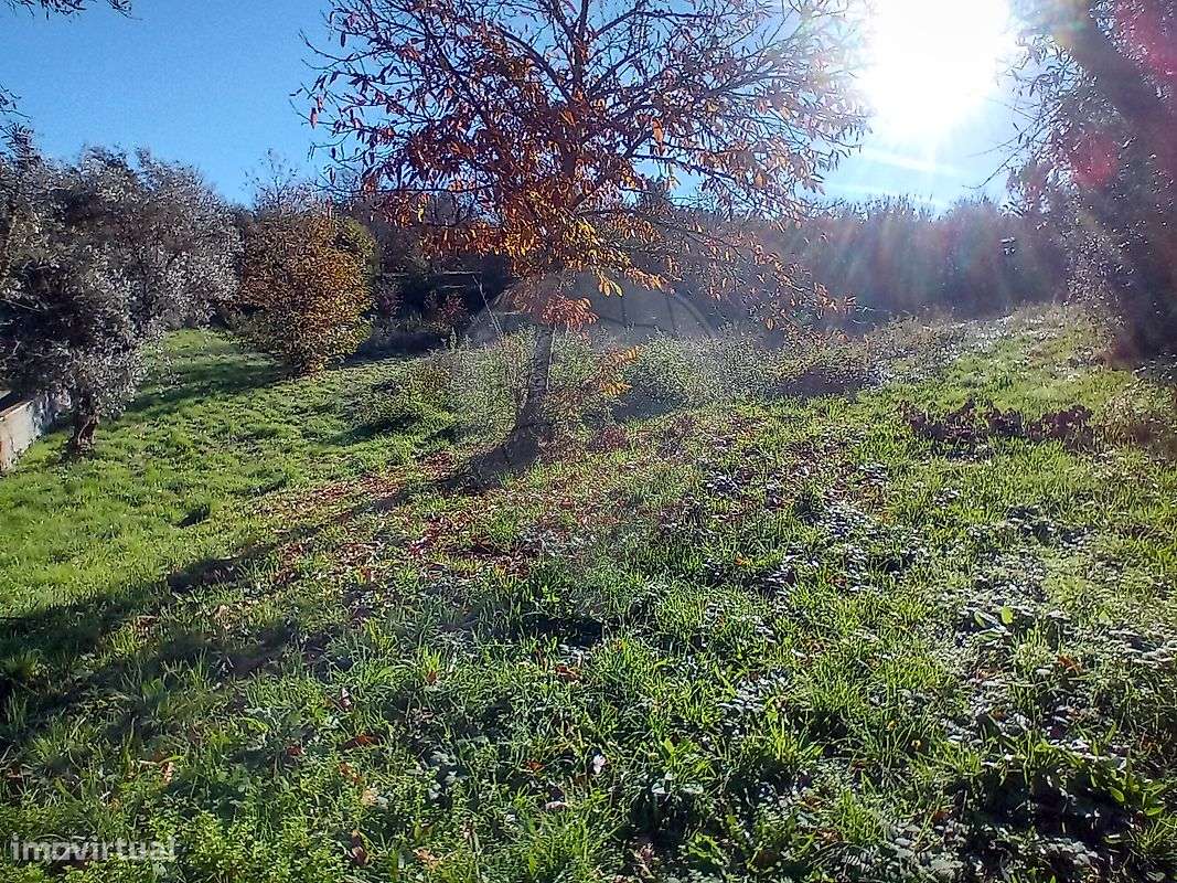 Terreno  para venda - Grande imagem: 5/20