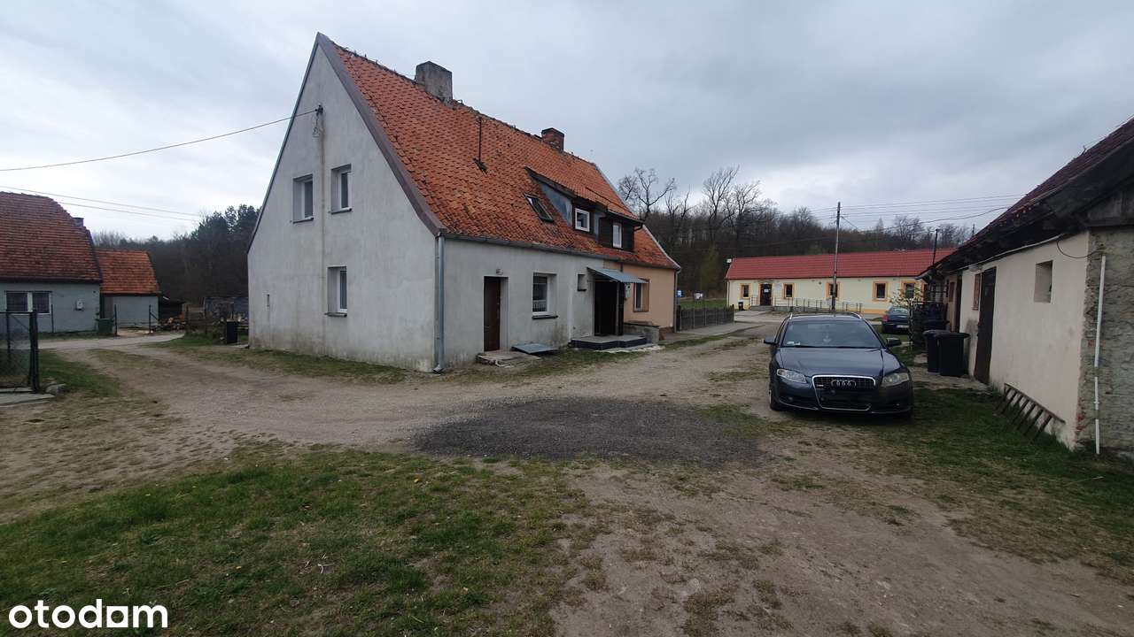 Bezczynszowe mieszkanie z ogródkiem | Kleczewo-5