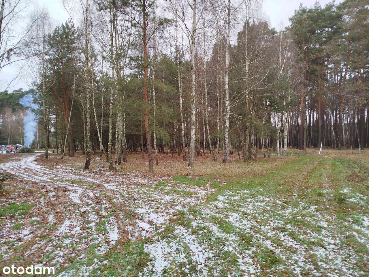Działka rolno-rekreacyjna na sprzedaż w Luboradów 65km.  Od Wrocławia - Pełny obrazek: 5/19