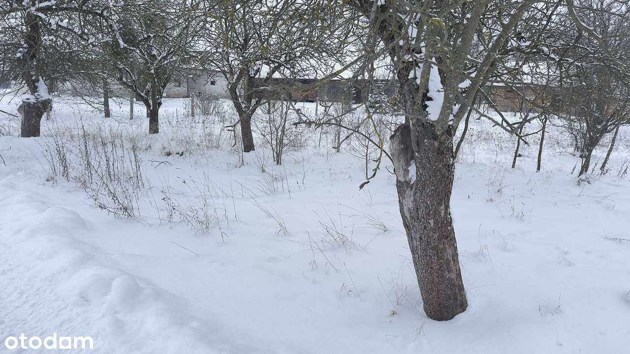 Działka w Podlaskiej malowniczej wsi Rzepiska,Żubry PuszczaBiałowieska-14
