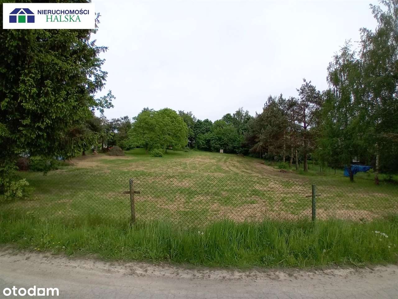 Na sprzedaż działka 4,5km od Energylandii-Laskowa - Pełny obrazek: 4/5