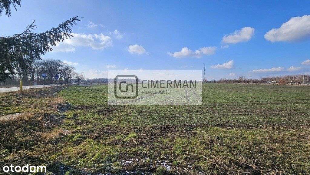 Cn_Działka okolice ul. Kwiatkowskiego Plan ogólny - Pełny obrazek: 4/7