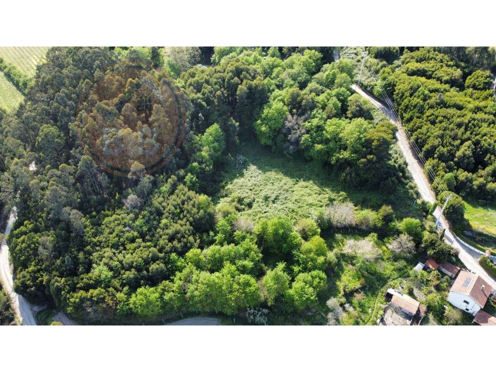 Terreno com 1ha, em Boelhe, Penafiel - Grande imagem: 3/11