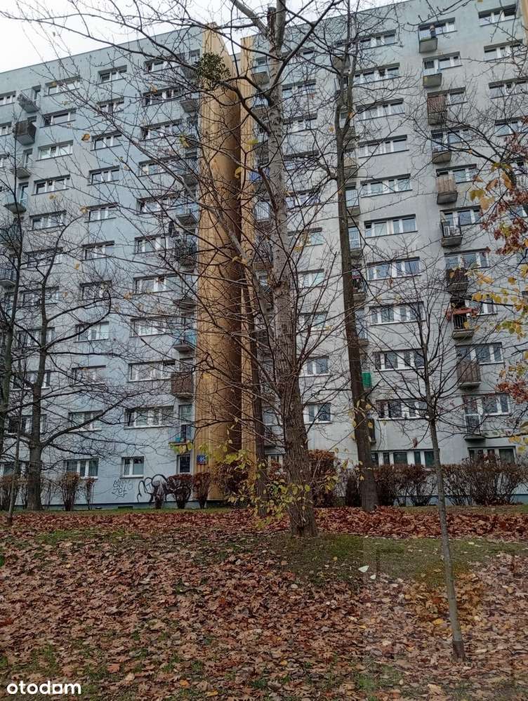 Rozkładowe 2 pokoje, Park Szymańskiego-0% PROWIZJI-8