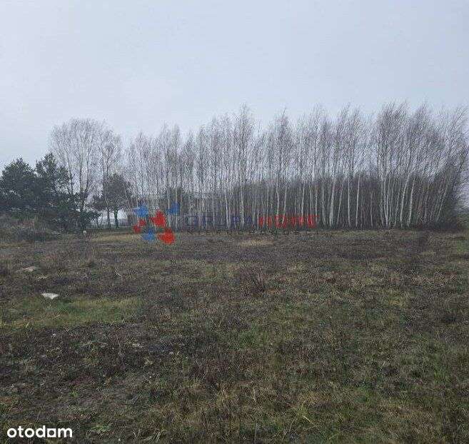 Urokliwa okolica, dobry dojazd do Warszawy-4