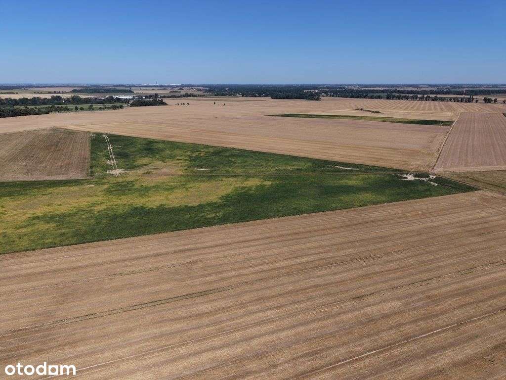 Działka rolna 3,16ha w Rogowie Sobóckim - trójkąt-5