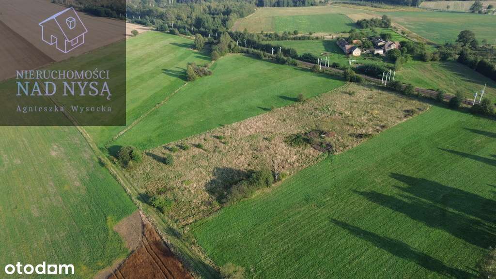 Działka Inwestycyjna Pieńsk - Pełny obrazek: 4/8