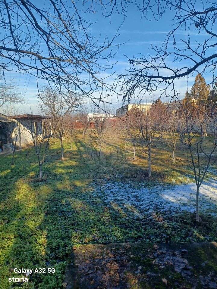 VILA CARTIER ALBERT//SUPRAFATA TEREN 3800MP//BULEVARDUL REPUBLICII-5