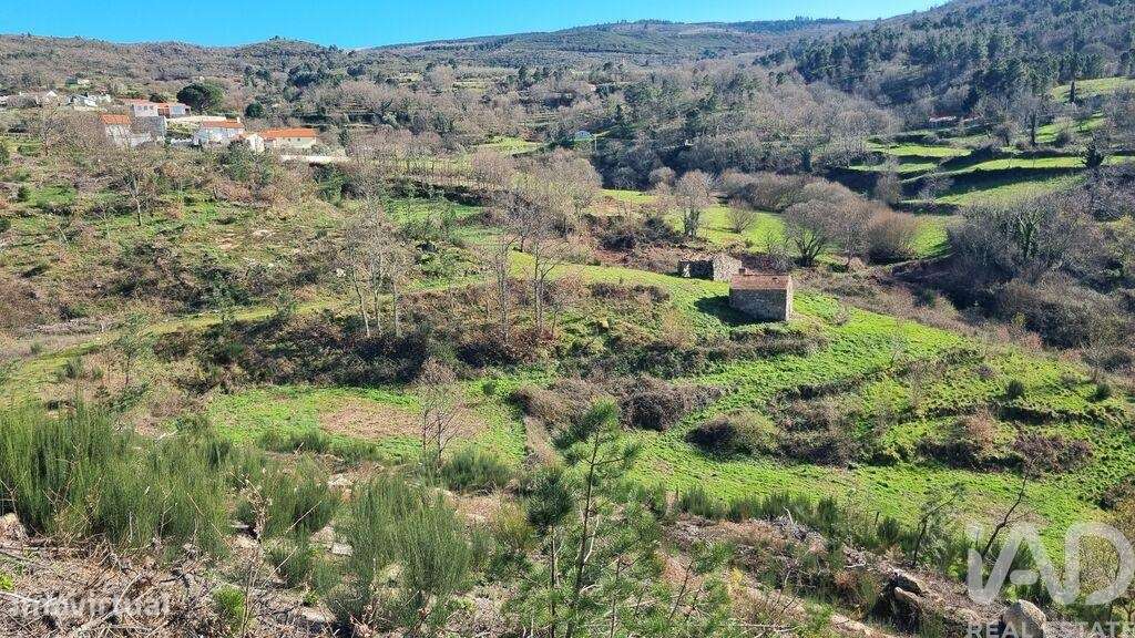 Terreno Agrícola em Cortiçô da Serra, Vide entre Vinhas e Salgueirais - Grande imagem: 4/36