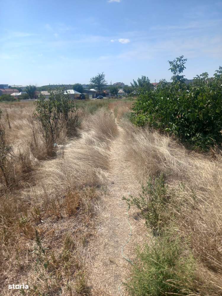 Teren intravilan Brosteni - Imagine principală: 4/5