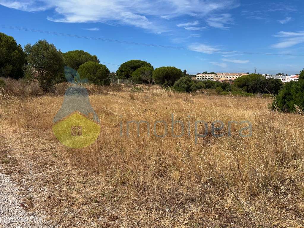 TERRENO AMPLO BOAS VISTAS E PINHEIROS A 4KM DA PRAIA - Grande imagem: 4/35