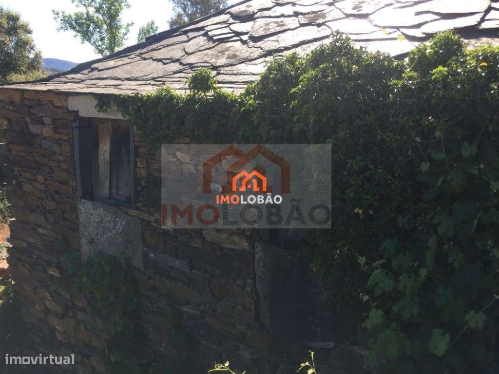 QUINTA - NESPEREIRA (CINFÃES) - Grande imagem: 3/18