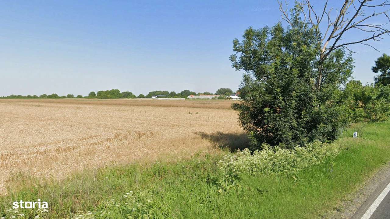 Teren Intravilan, 17500 mp, Sag, Timis, DN69-4