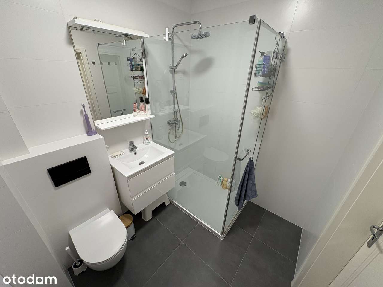 Apartament 3 pokojowy - po odnowieniu (nowa cena) - Pełny obrazek: 4/12