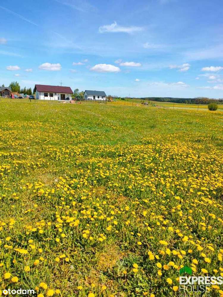Działka Budowlana na Sprzedaż - Oracze, Gmina Ełk - Pełny obrazek: 4/6