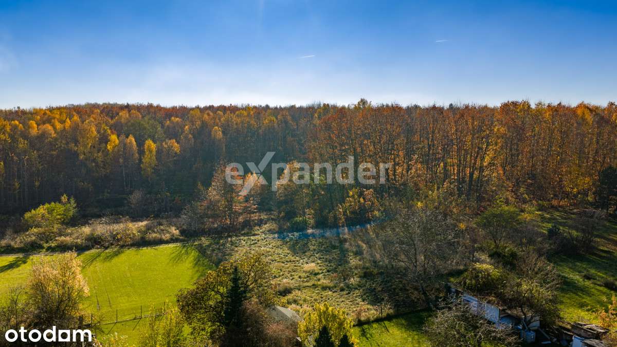 ul.. Jaśminowa/Brzozowa-granica Mikołowa i ŁaziskG-12