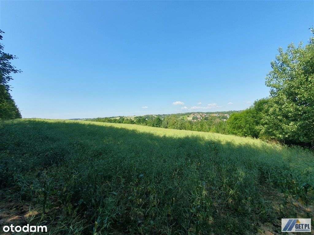 Widokowa działka 2,3ha, na wzgórzu, Michałowice - Pełny obrazek: 5/18